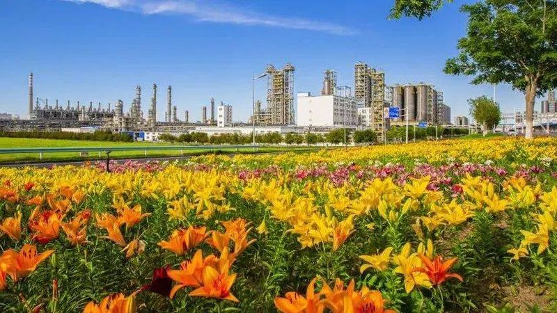 化工原料环保标准：企业合规之路的关键