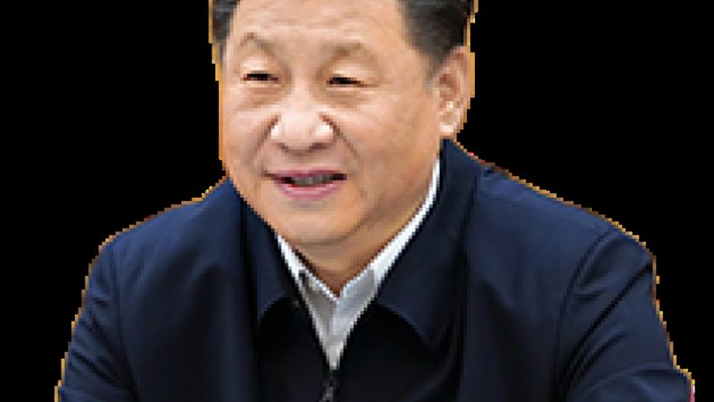 塑料原料代理加盟：从选品到落地的四个关键阶段